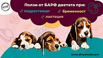 6 ползи от метода БАРФ за подрастващи и бременни