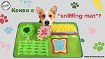Какво е "sniffing mat" и как помага на твоето куче?