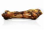 Конска кост със сухожилие