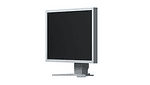 Монитор EIZO FlexScan S2133, IPS, 21.3 inch, Clasic, UXGA, D-Sub, DVI-D, DisplayPort, Сив