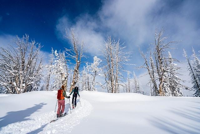 Ски бягане - Всичко, което трябва да знаете