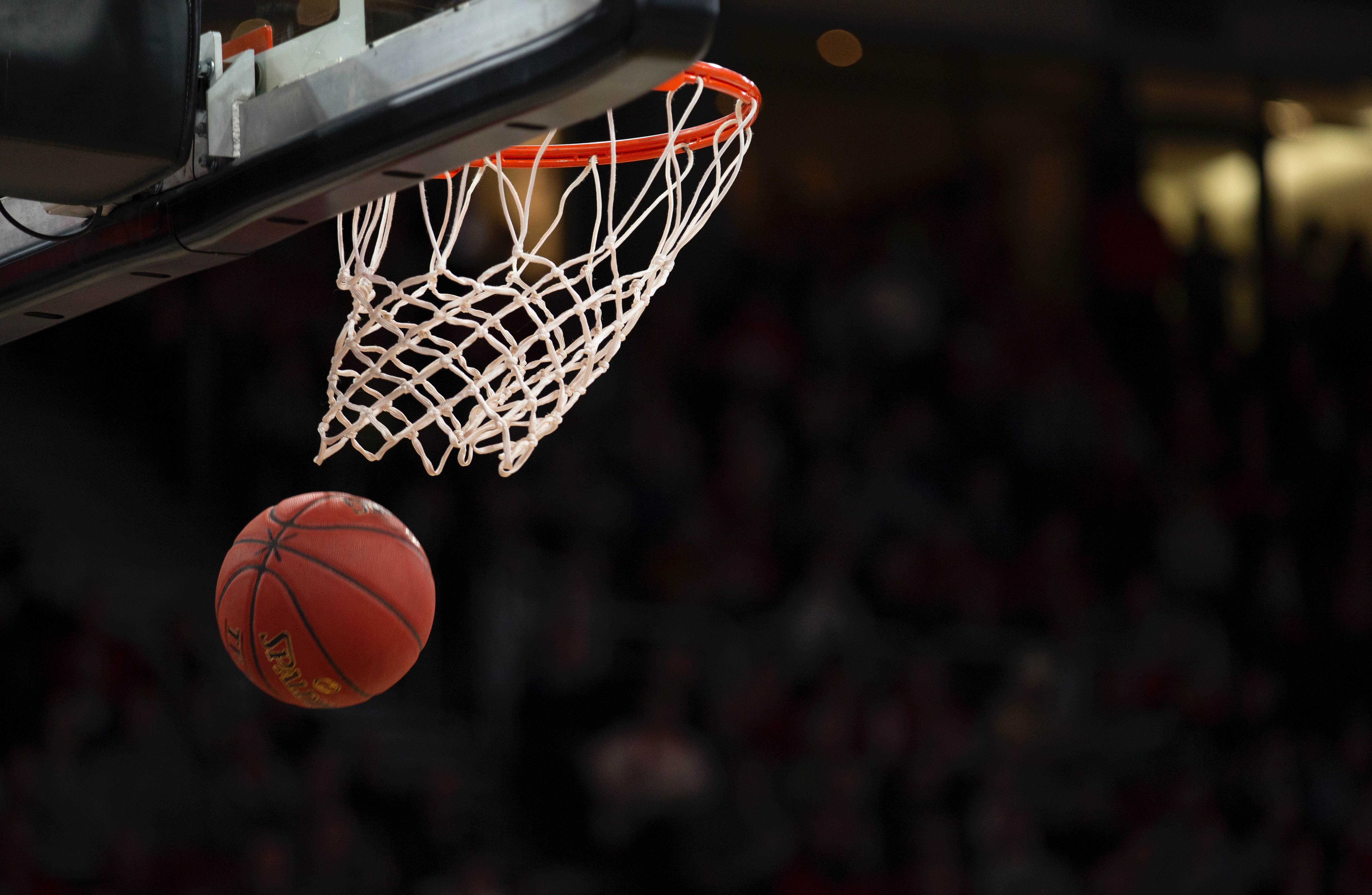 Спортни стоки за баскетбол на топ цена от Sportbox.bg