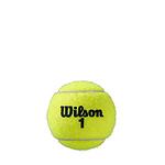 Тенис топки Wilson ROLAND GARROS ALL CT 3 BALL