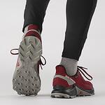 Мъжки обувки за планинско бягане Salomon ALPHACROSS 4 GORE-TEX