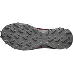 Мъжки обувки за планинско бягане Salomon ALPHACROSS 4 GORE-TEX