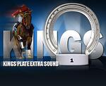 Алуминиеви подкови за бегови коне-Kingsplate Extrasound