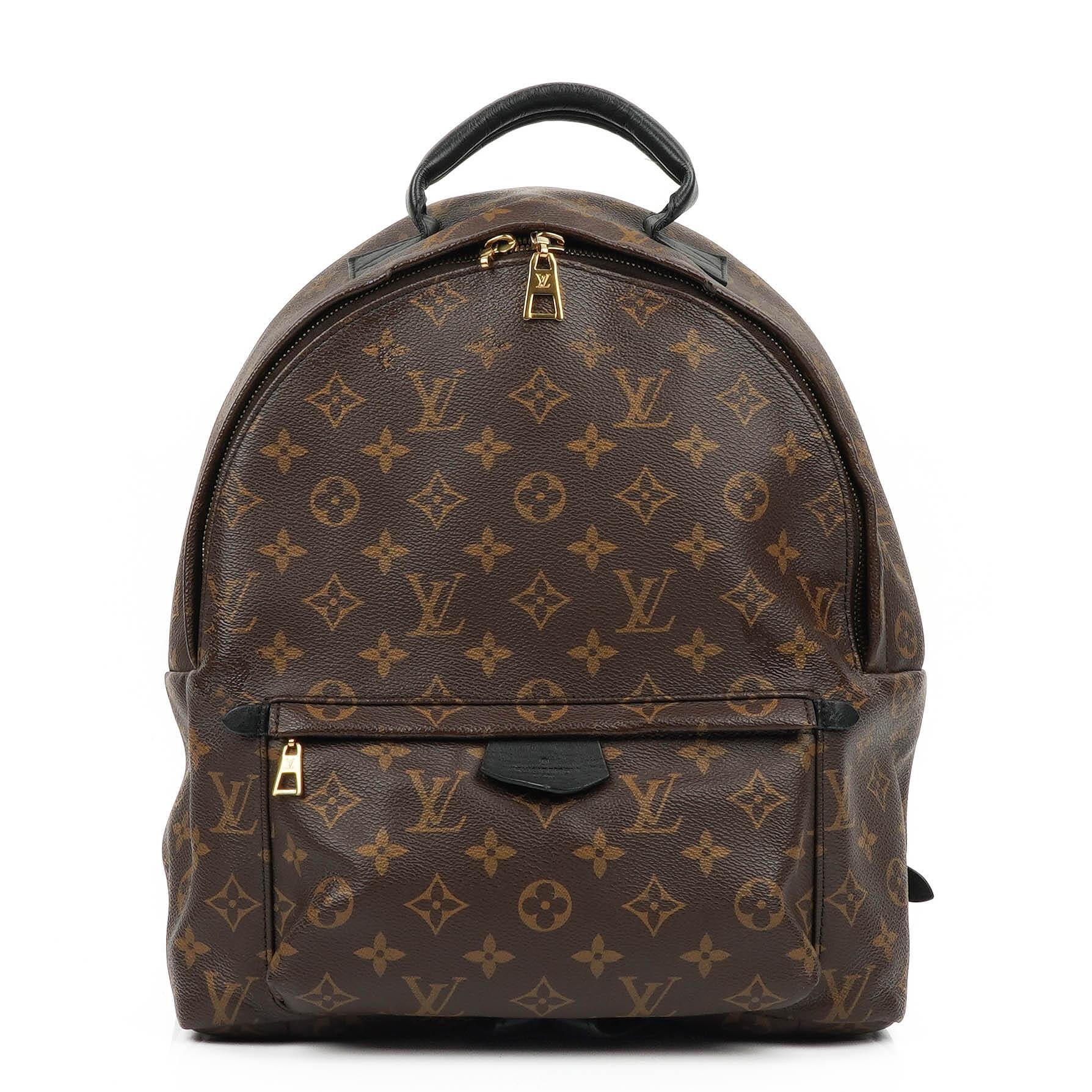 Louis vuitton palm springs mm best sale monogram monogram