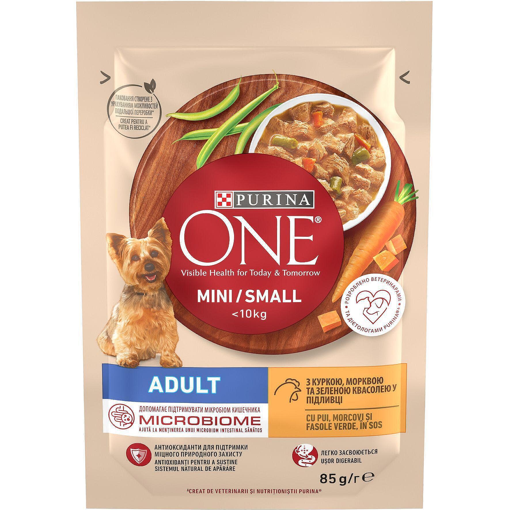 Purina one mini adult best sale