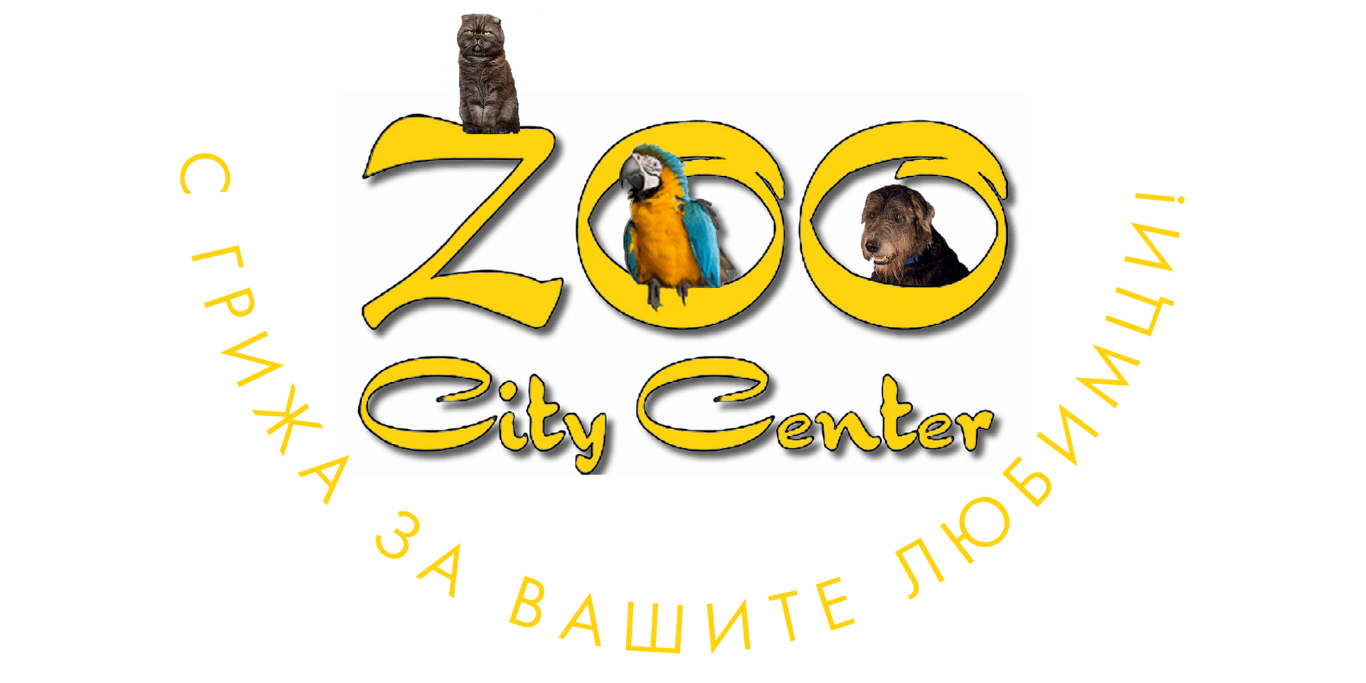 Zoo City center