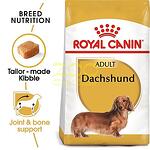 Royal Canin Dachshund Adult - за кучета порода дакел над 10 месечна възраст
