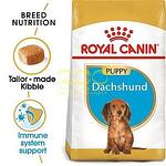 Royal Canin Dachshund Junior - за кучета порода дакел от 2 до 10 месечна възраст 1.5 кг.