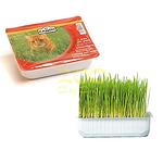Camon Cat grass 100g - котешка трева  B162