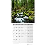 Календар Ackermann Zauber des Waldes - Магията на гората, 2023 година