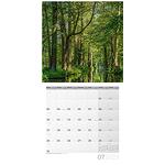 Календар Ackermann Zauber des Waldes - Магията на гората, 2023 година