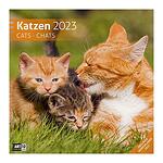 Календар Ackermann Katzen - Котки, 2023 година