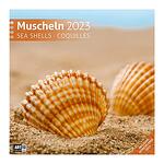 Календар Ackermann Muscheln - Раковини, 2023 година