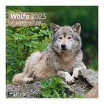 Календар Ackermann Wölfe - Вълци, 2023 година