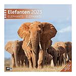 Календар Ackermann Elefanten - Слонове, 2023 година