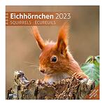 Календар Ackermann Eichhörnchen - Катерички, 2023 година