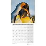 Календар Ackermann Pinguine - Пингвини, 2023 година