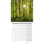 Календар Ackermann Bäume - Дървета, 2023 година