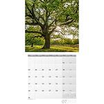 Календар Ackermann Bäume - Дървета, 2023 година