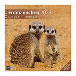 Календар Ackermann Erdmännchen - Сурикати, 2023 година