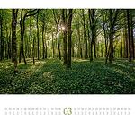 Календар Ackermann Wald - Гори, 2023 година