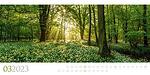 Календар Ackermann Wilde Wälder - Диви гори, 2023 година