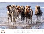 Календар Ackermann Wilde Pferde - Диви коне, 2023 година