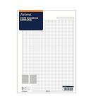 Пълнител за тефтер Filofax Classic A4 - листа на квадратчетa