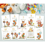 Бебе Фото-Карти / Milestone Cards – Set Baby Fox