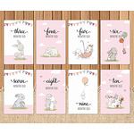 Бебе Фото-Карти / Milestone Cards – Set Baby Girl