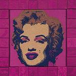 Stephen Wilson - Magenta Marilyn