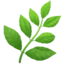 🌿