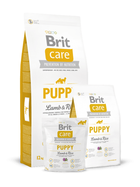 Veterinary Veterinary