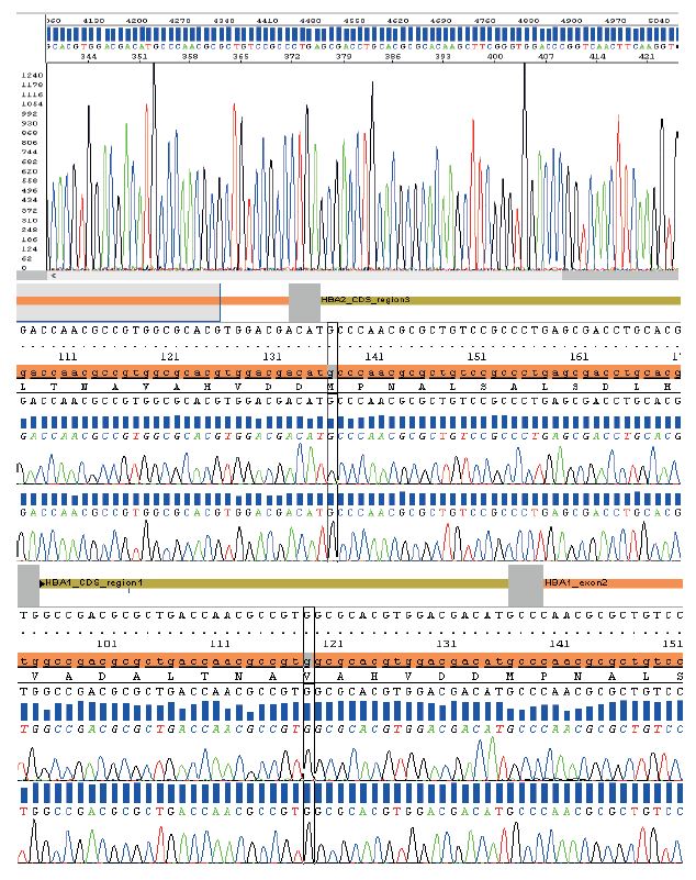 Sequencing & Genetic Analysis
