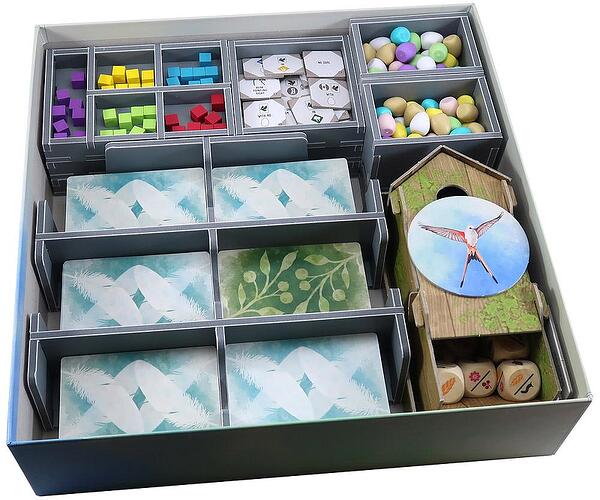 Folded Space Insert Organizer Wingspan