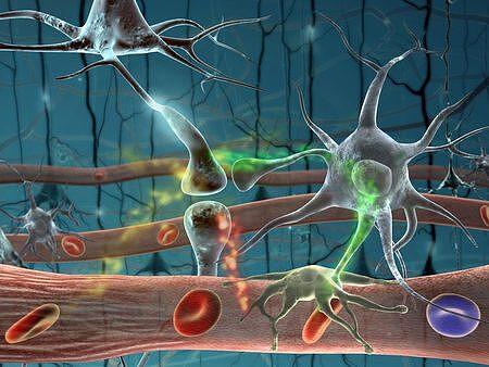 Невротренинг или упражнения за нервната система
