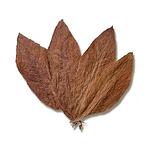Крем за бръснене Taylor of Old Bond Street, Tobacco Leaf - с аромат на тютюневи листа, в купа