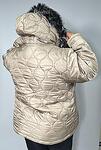 Зимно яке - бежово, спирали