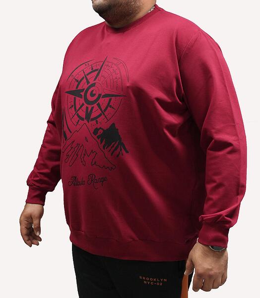 Спорта блуза - бордо