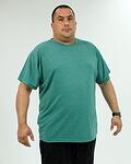 Мъжка тениска 100% памук, зелена