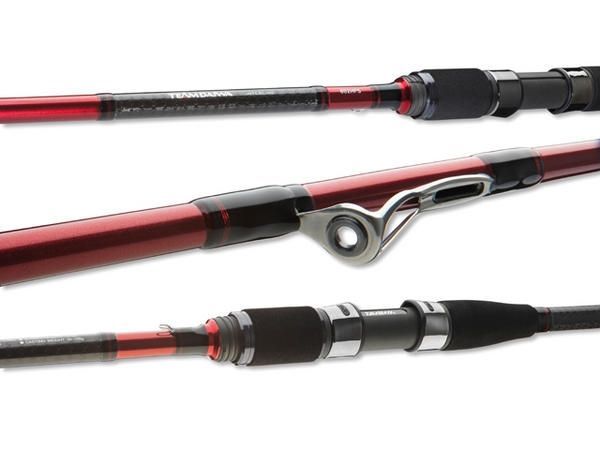 Rod for spinning and sea fishing Team DAIWA Interline 2.70 m