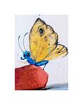Baietelul cu aripa de fluture - Ioana-Chicet Macoveiciuc