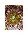 Castron din Ceramica Horezu - culori naturale diametru 16 cm