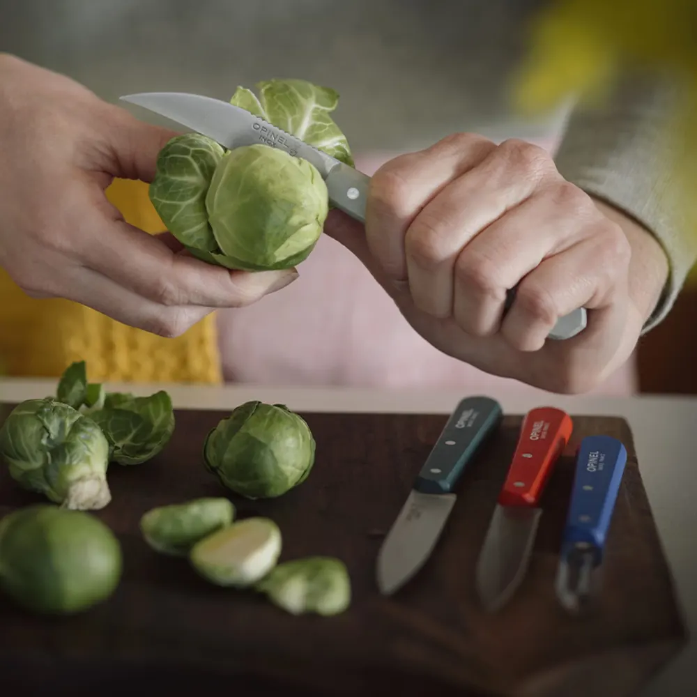 Комплект кухненски ножове и белачка Opinel Les Essentiels - Primo Set - 9