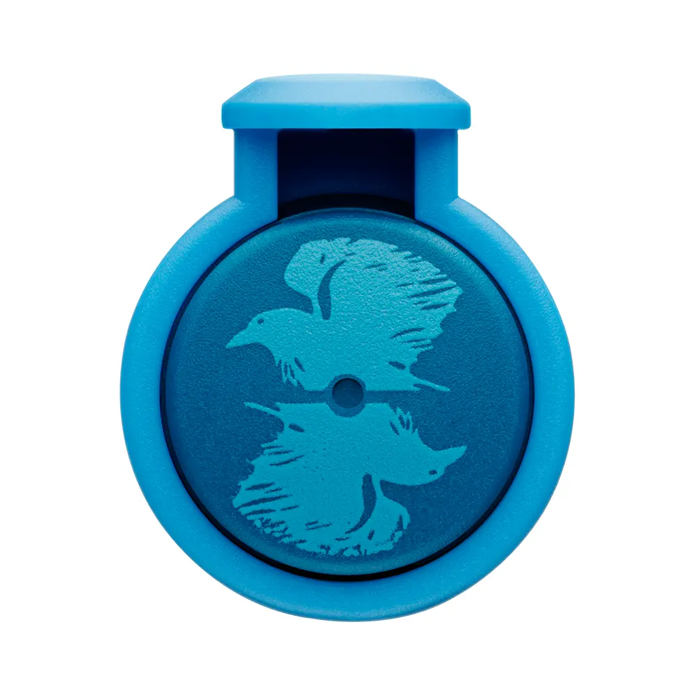 Писалка Lamy Nexx Special Edition Harry Potter - Ravenclaw - 5