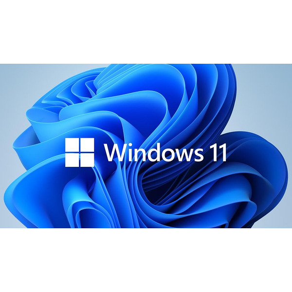 Microsoft Windows 11 Pro 64Bit English 1pk DSP OEI DVD Изображение