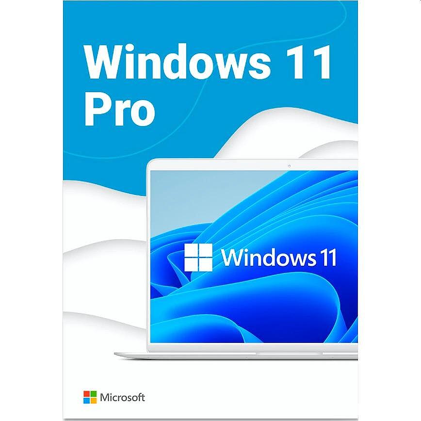 Microsoft Windows Pro 11 64-bit Eng Intl USB RS Изображение